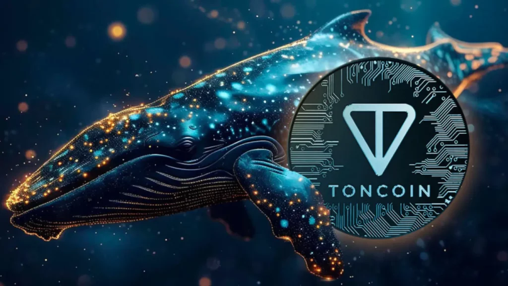 Toncoin Price Drop